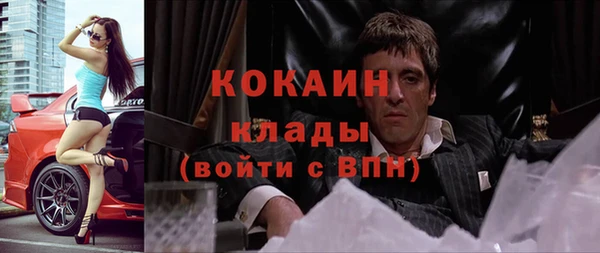 мескалин Няндома