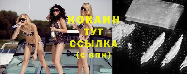 винт Ветлуга