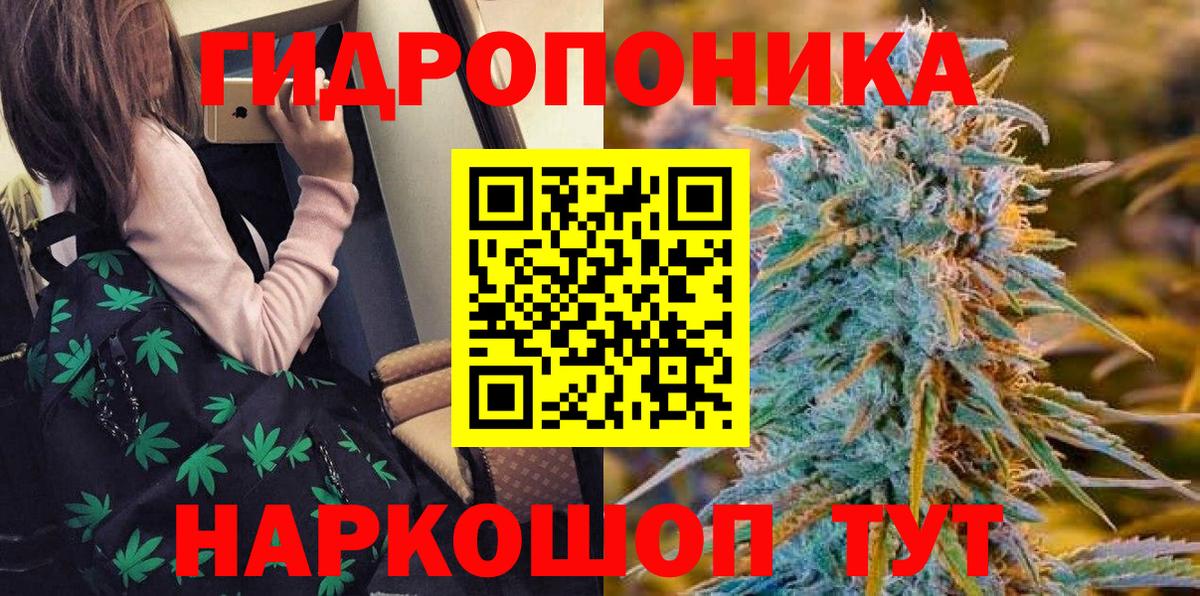 Бошки марихуана OG Kush Кинешма